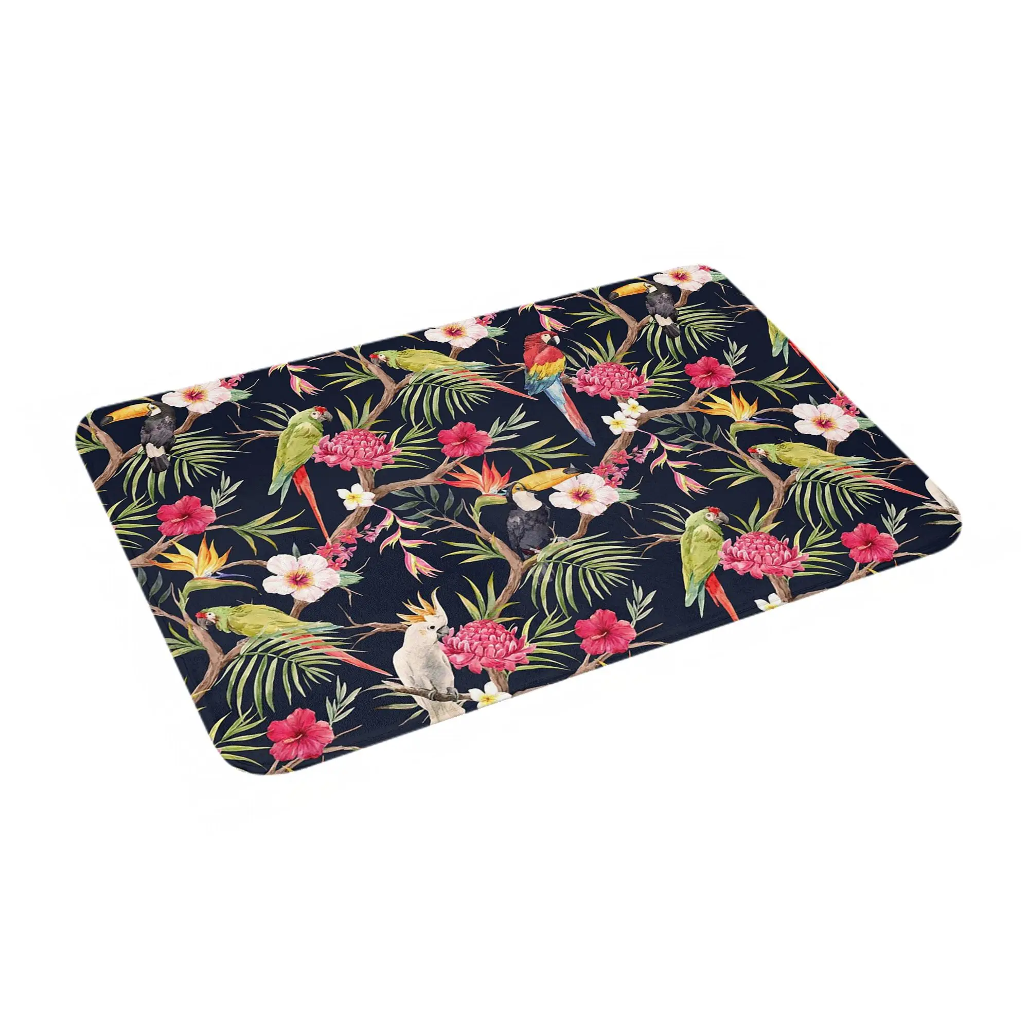 Tropical Parrot And Toucan Non-slip Doormat Floor Mat Washable Carpet Rug for Kitchen Entrance Home Bedroom Footpad Mats