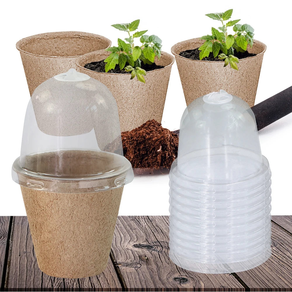 

140x80mm Biodegradable Plant Seed Starting Pot Round Transparent Cover Garden Nursery Seedling Starters Flower Potting Container