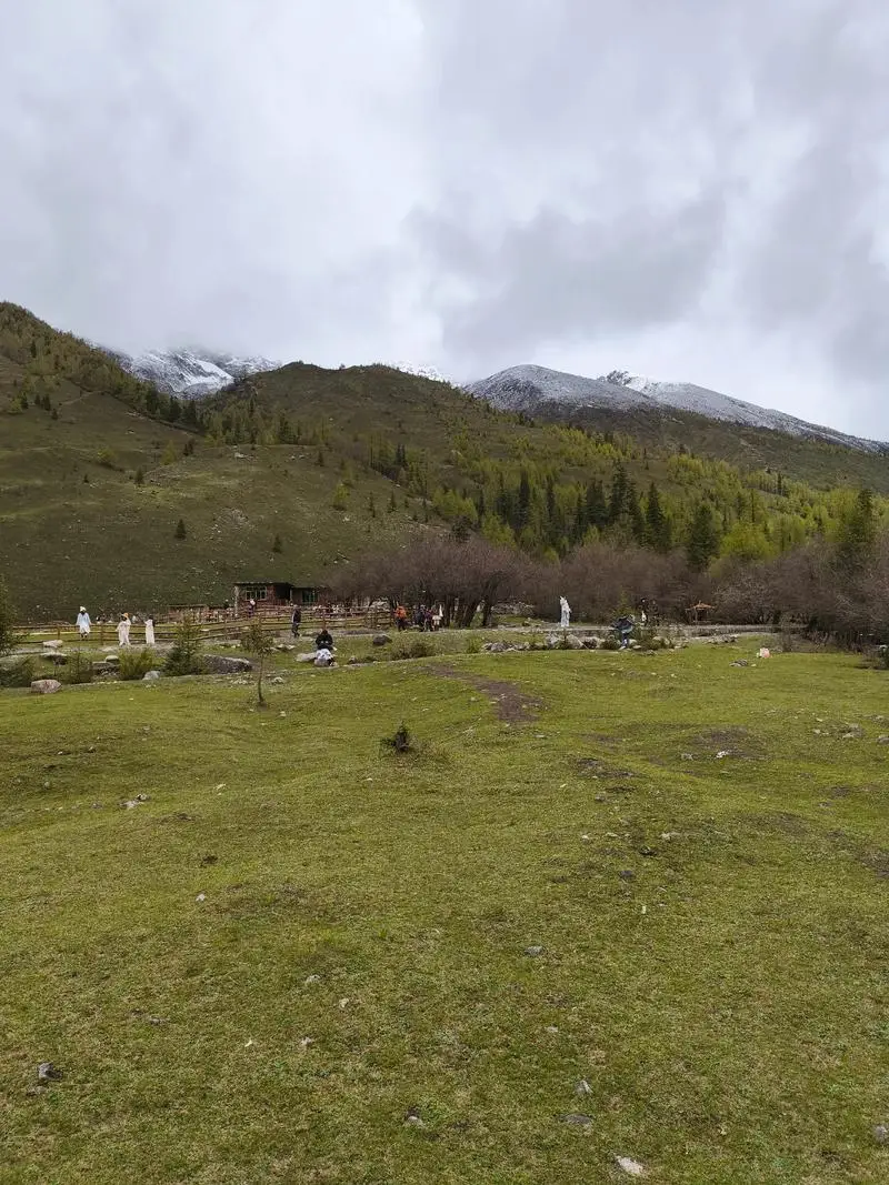 

30ml Glass Spray Bitter Dropper Bottle Martini Vermouth Cocktail Atomizer Sprayers Bar Tools