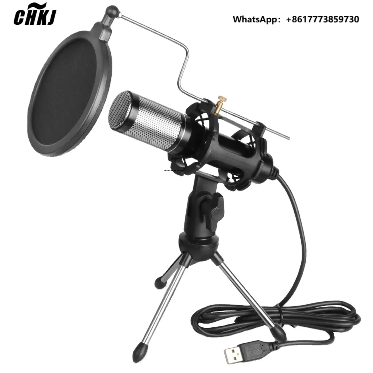 

Biner E300 Professional Recording Live Desktop Stand USB Condenser Microphone