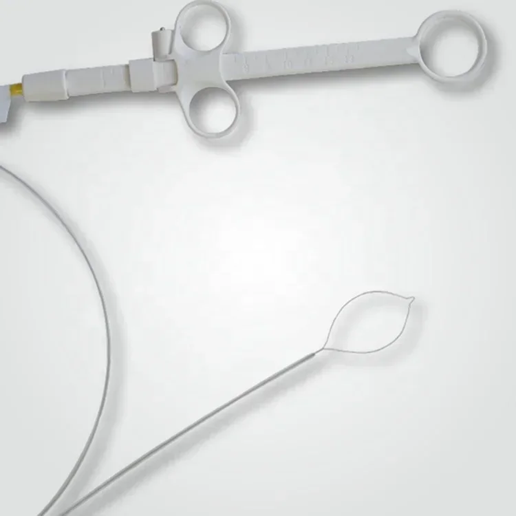 Disposable Polypectomy Snare