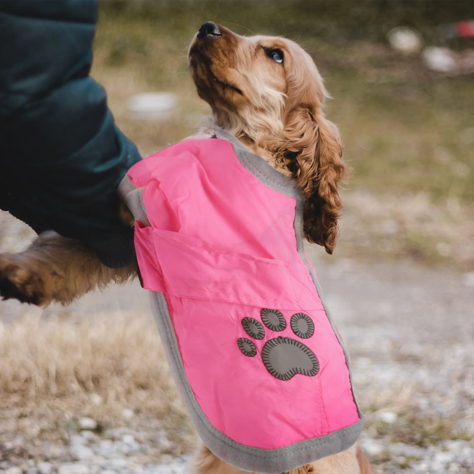 

Waterproof Dog Coat Pink Size M Reversible Reflective Warm Fleece Jacket Puppy Winter Clothes Safe Walking Dog Coat