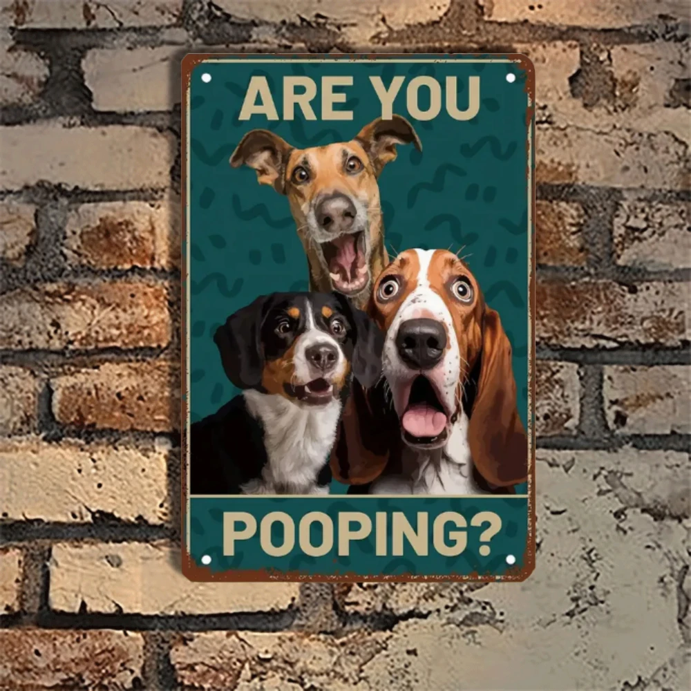 2D Flat, 1Pc High Q…