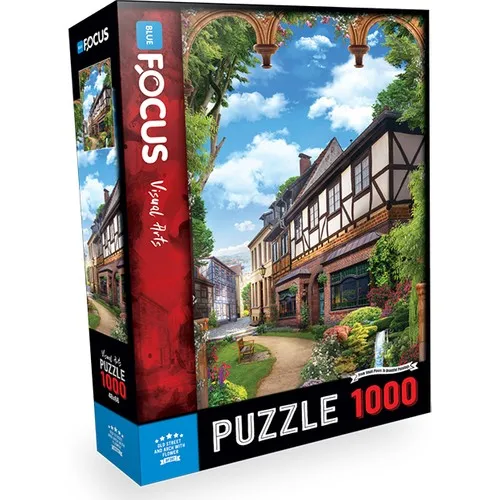 Blue With Focus 1000 Piece Jigsaw Puzzle - Old Street And Arch Flower