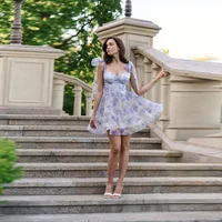 Chic Printed Mini Halter Dress A Line Mesh Lace Up Party Vestidos V Neck High Waist Club Robes Sweet Women Princess Dresses Gown - Image 4