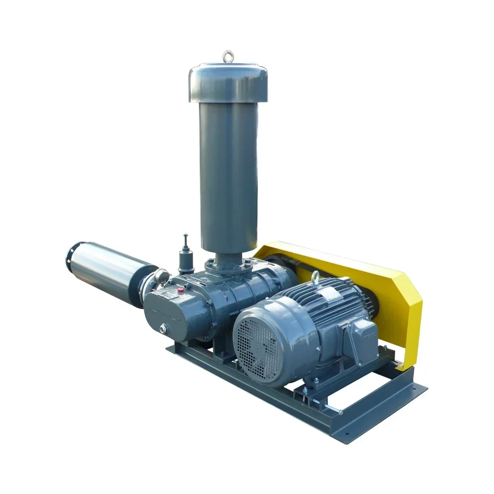 

Hot Sales Low Noise Air Three Lobes Cast 5.5Kw 7.5Kw 11Kw Rz-65 Roots Blower for Sale