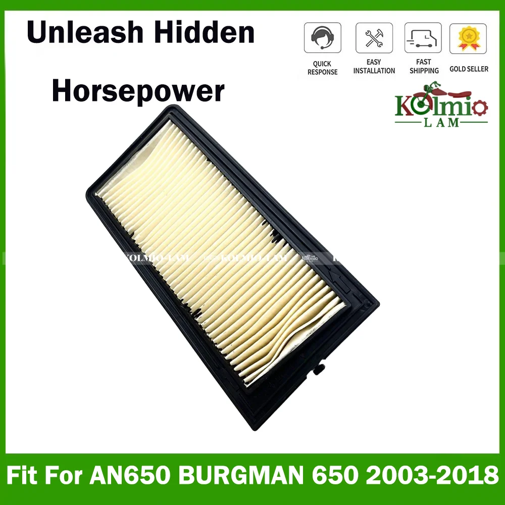 Fit for 2003 - 2018 Suzuki AN650 BURGMAN 650 Air Filter Intake Cleaner 2017 2016 2015 2014 2013 2012 2011 2010 2009 2008 2007 06