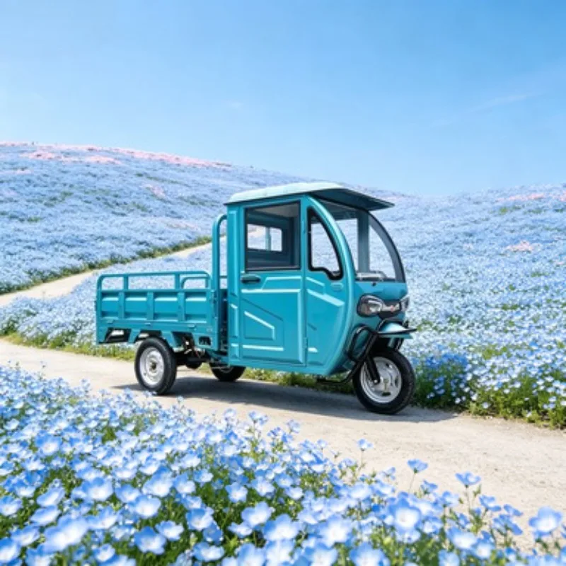 60V 800W Electric Cargo Tricycle 3 Wheel Open Steel Frame 400kg for Agricultural Product Transport Sale