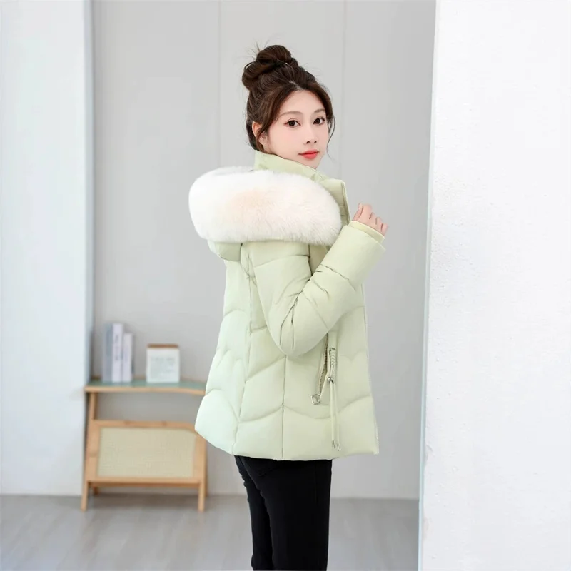 Giacca corta in cotone con cappuccio autunno inverno Cappotti Parka da donna Capispalla caldo antivento Giacca in cotone con collo in pelliccia imbottito tinta unita