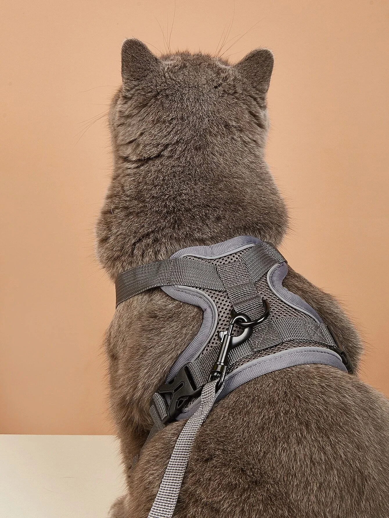 2pcs Breathable Pet Harness & Leash Set
