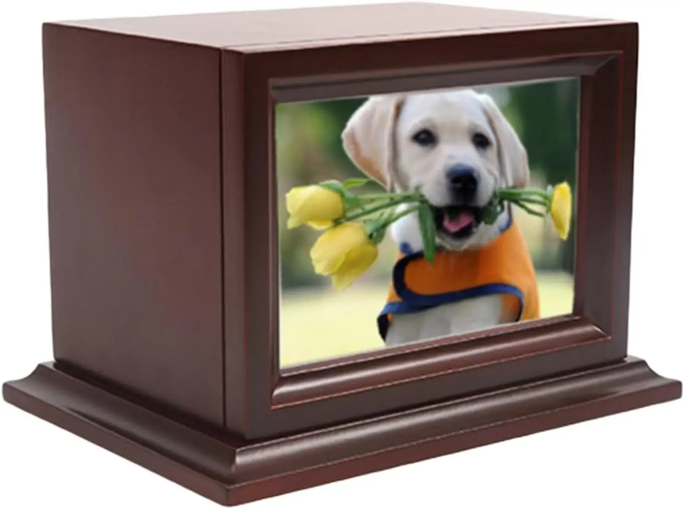 wooden-pet-memorial-keepsake-urnssmall-medium-dogs-cats（medium）-photo-box-pet-cremation-urn，cremation-cat-urns-for-dogs-ashes