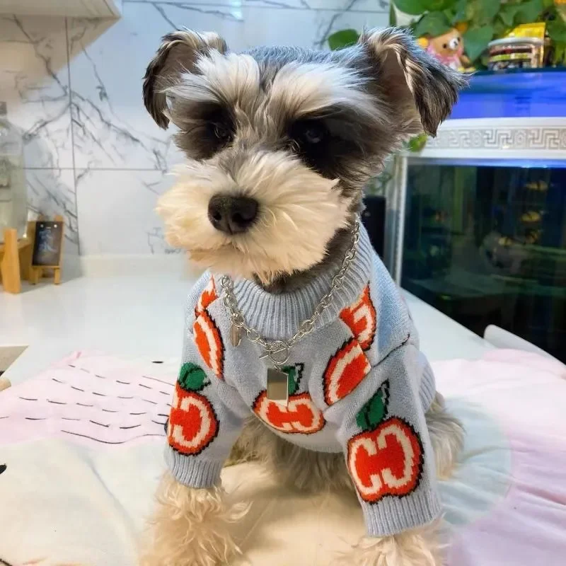 Letter Sweater Pet Dog Clothes Cotton Sweatshirt Clothing Dogs Warm Cute Print Autumn Winter Gary Boy Mascotas
