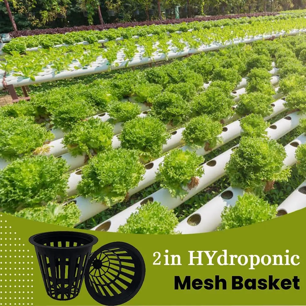 50/100Pcs 2 Inch Heavy Duty Net Pots Hydroponic Cups Garden Slotted Mesh Net Cups Plant Nursery Net Pots for Hydroponics