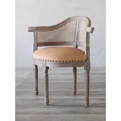 Fashionable and personalized technology cloth chairs, European style retro dining chairs, photography props, bars, homestays,