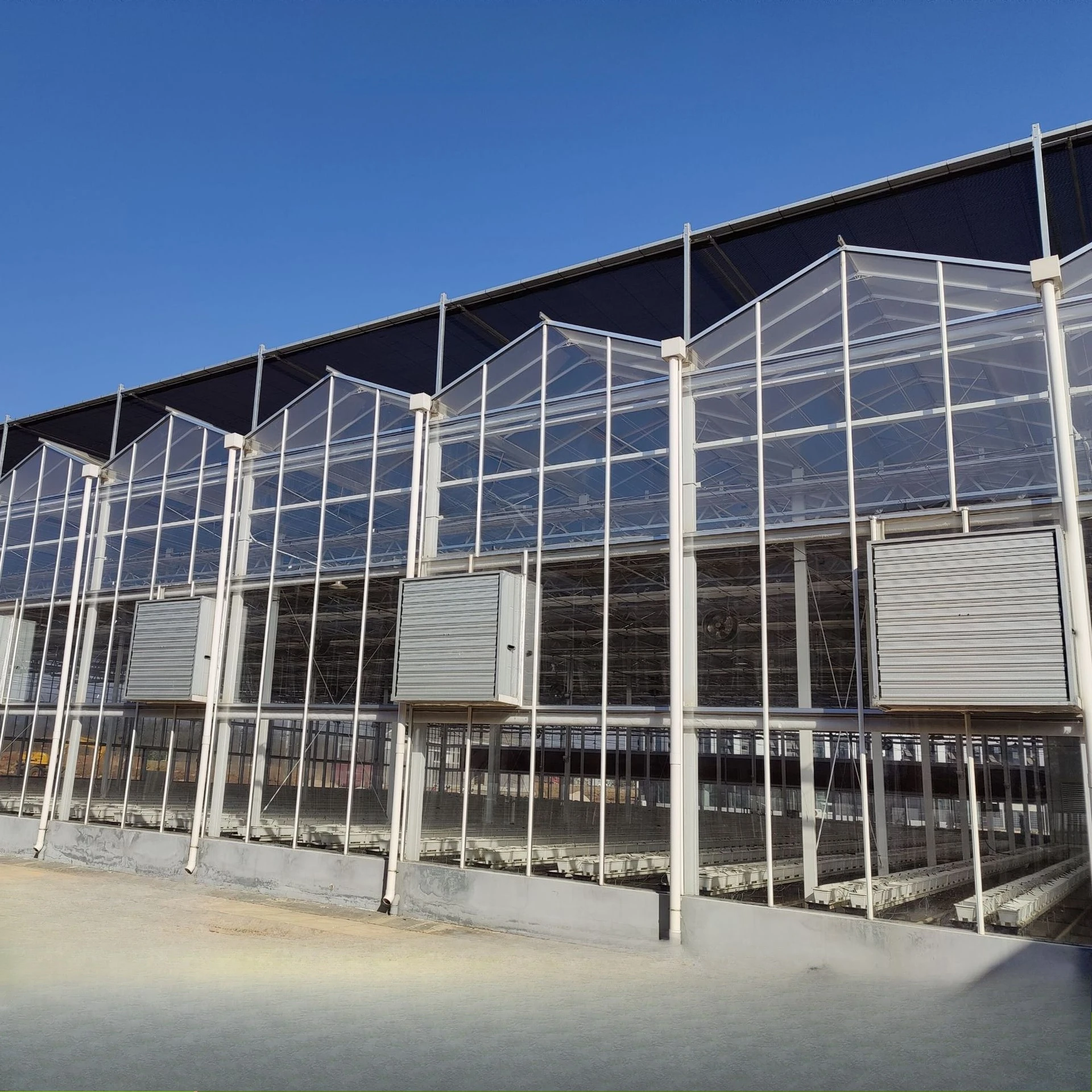 2025 وصول جديد الزجاج الجاهز تصميم البيت الأخضر لوحة طاقة شمسية متعددة المراحل الدفيئة للمشروعات الزراعية