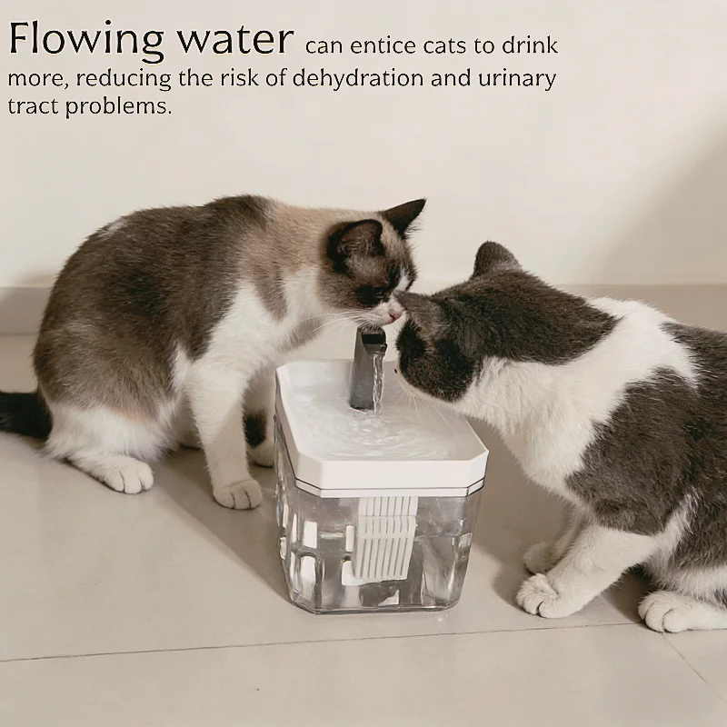 Thumbnail 3 - #18 Best Drinking Fountains to Buy In 2026