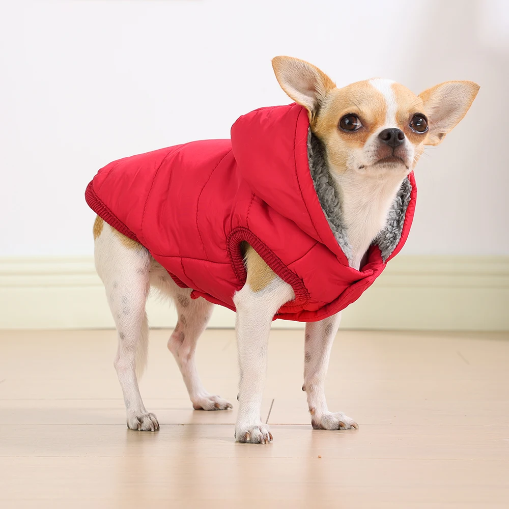 Thumbnail 3 - #33 Top Waterproof Dog Jackets Picks for Every Budget