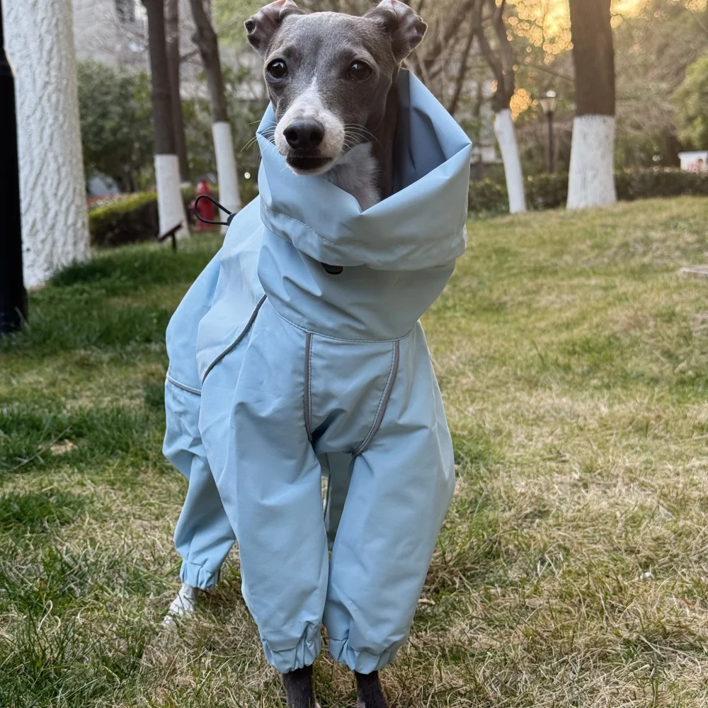 Frühling Sommer Blauer Regenmantel für Italienische Windhunde Winddichte Wasserdichte Jacke mit Rotem Reißverschluss für Whippets Reflektierender Streifenmantel – Detail 5