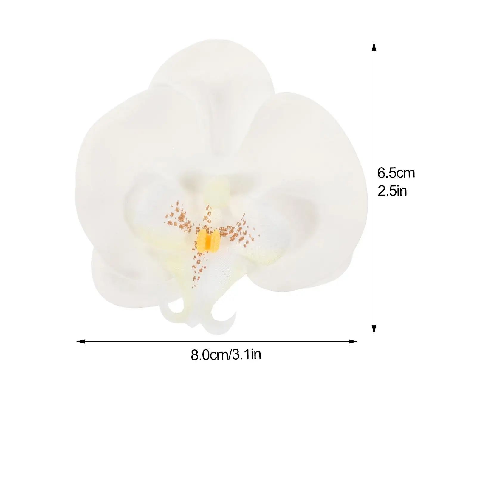 5 قطع من رؤوس فالاينوبسيس الصناعية للحرف اليدوية الصغيرة الاصطناعية البيضاء الصغيرة المزيفة #6