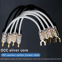 4PCS Hifi OCC Silver Speaker Jumper Bridge Aaudio Cable Over Machine Line Speaker Cable Gold Plated Banana Y plug Speaker Wire