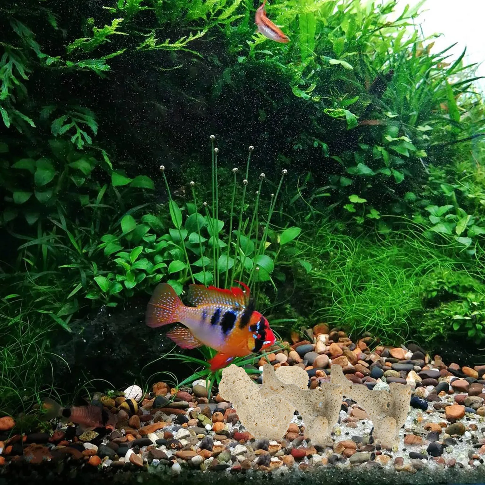 

1 Bag Coral Bone Substrate for Aquarium Filter Media Cut to Size Freshwater Saltwater Fish Tank Filtration Material Landscape