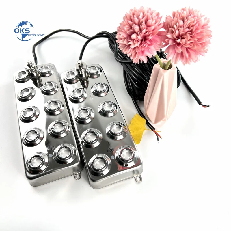 10 رأس سائق الدائرة البخاخة بالموجات فوق الصوتية ومحول الطاقة