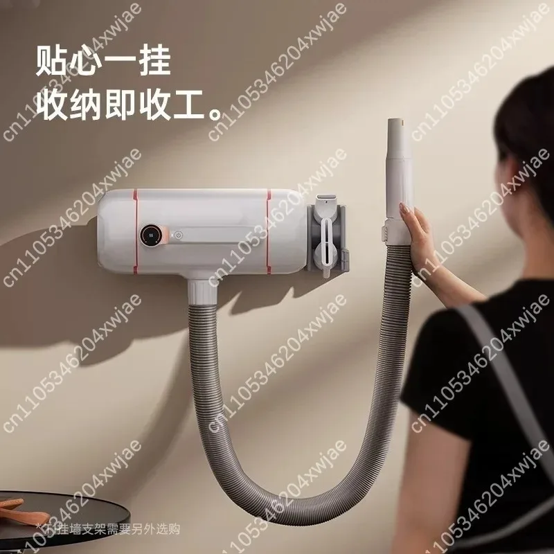 High Power Pet Hair Blower Dual Motor Negative Ion Dryer Large Dog Shower Groom Tool