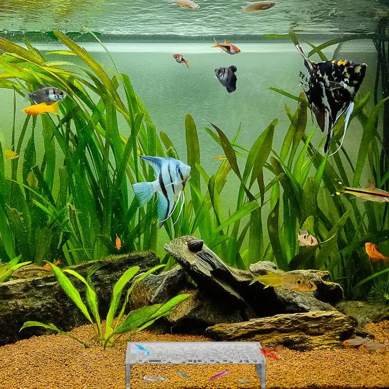 

Shrimp Hide Acrylic Shrimp Tunnel Aquarium Shrimp Hideout Transparent Cave Shrimp Tank Decor Aquarium Tunnel for Shrimp Breeding