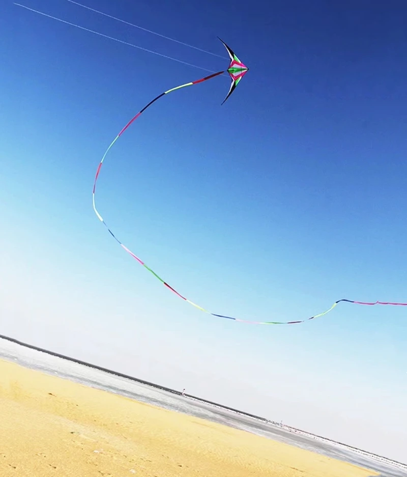 free shipping 2.4m double line stunt sports kite dragons kite windsurf flying kite kitesurf equipment Windsurfing outdoor games