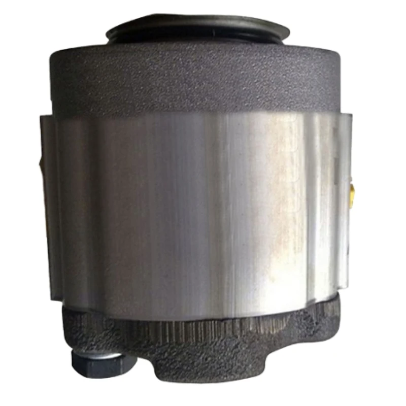 2026 أجزاء الرافعة الشوكية ما بعد البيع مضخة التروس الهيدروليكية 50111154 للرافعة الشوكية