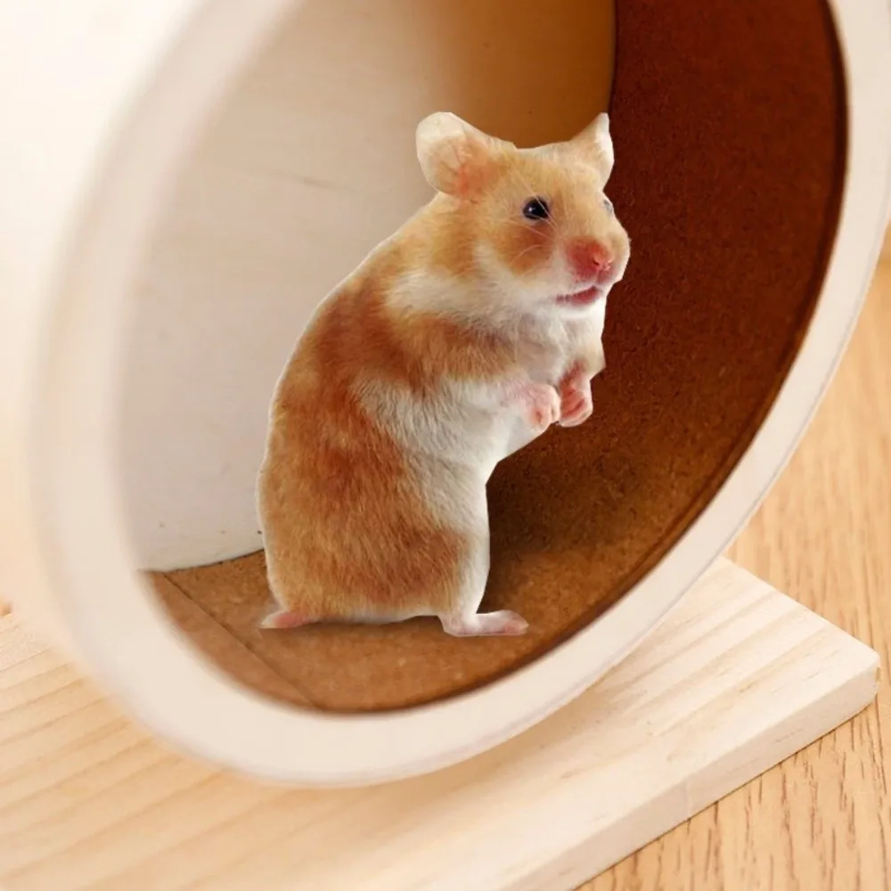

Деревянный материал Деревянное бесшумное колесо для хомяка Бесшумный дизайн Прочное колесо для упражнений для мелких животных Прочные колеса для хомяка