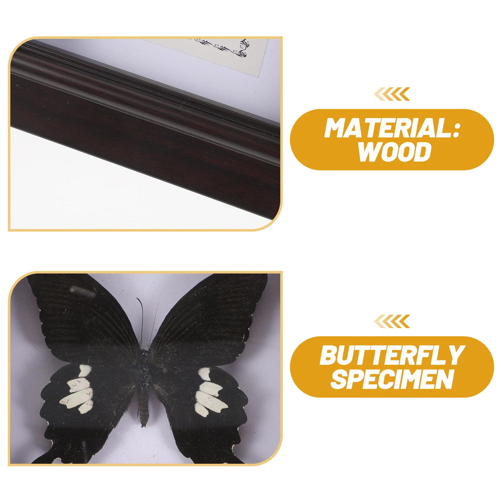 

Simulated Butterfly Specimen Handmade Wall Hanging Decor Wooden Frame Ornament For Display