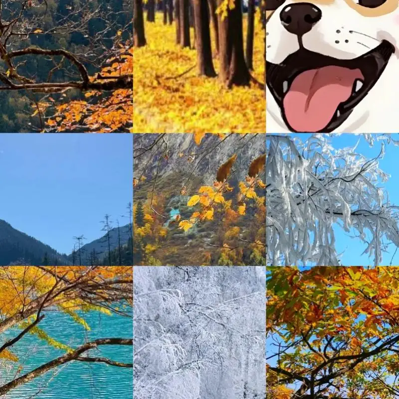 

Type-C Camera Detector Device Anti-Peeping Protection Easy To Use for Office Hotel Lens Detect Gadget