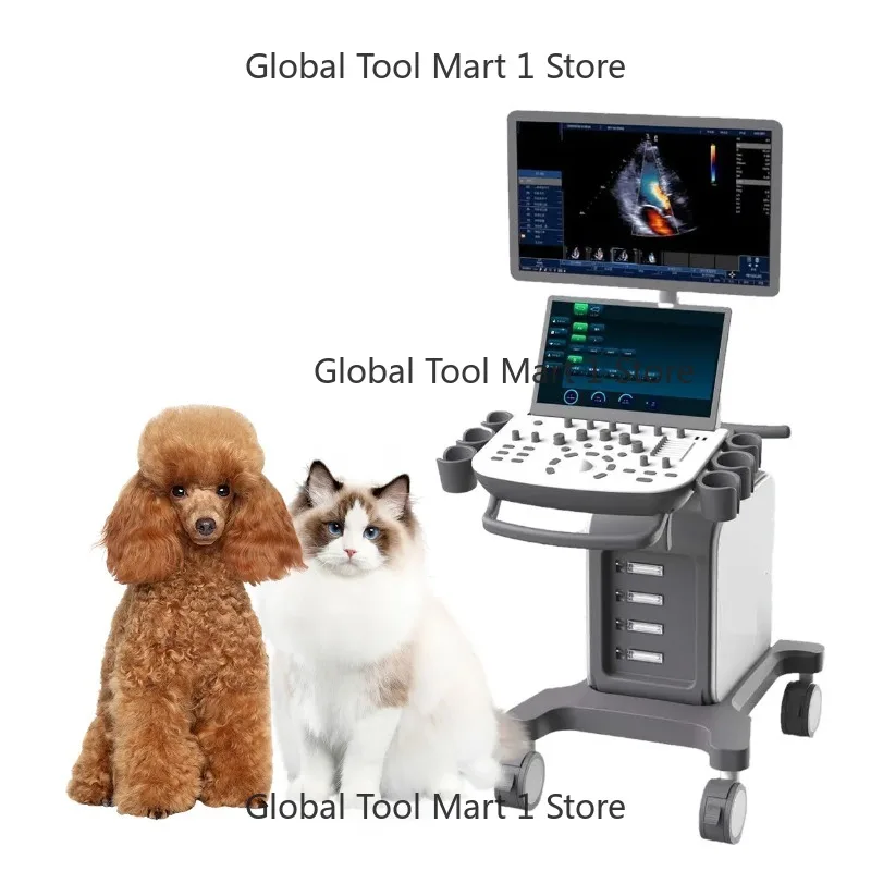 Vet-Erinary Col-Or …