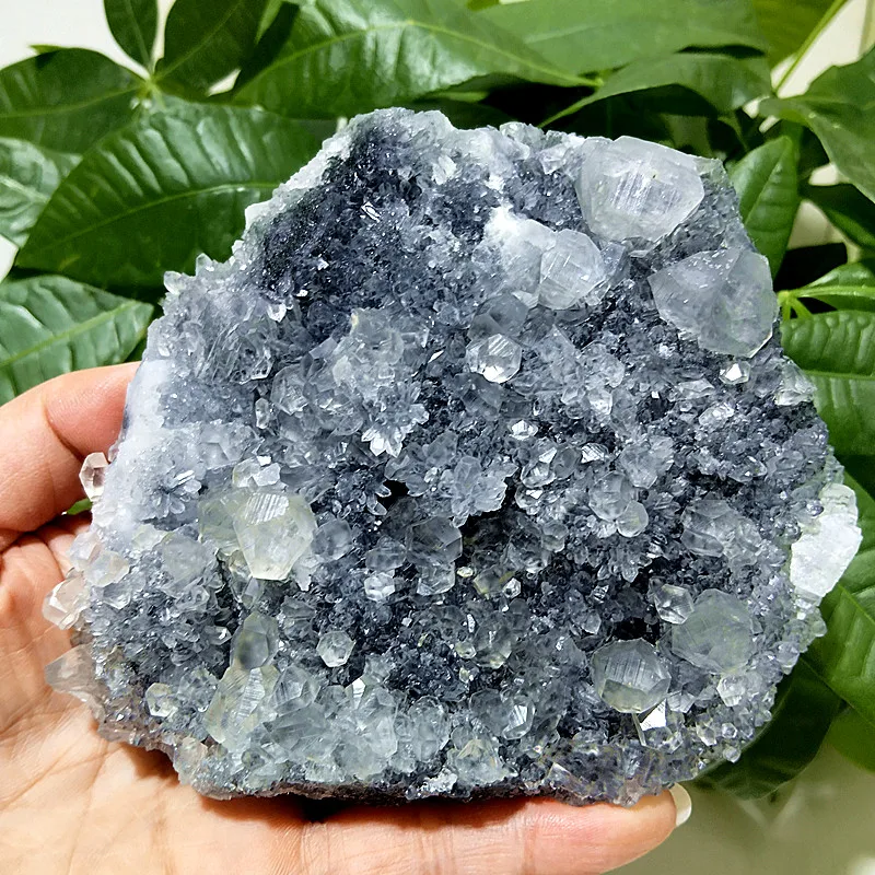 Natural Stones Fluorite Chrysanthemum Symbiosis Crystal Cluster Specimen Feng Shui Crystal Witchcraft Energy Room Decoration