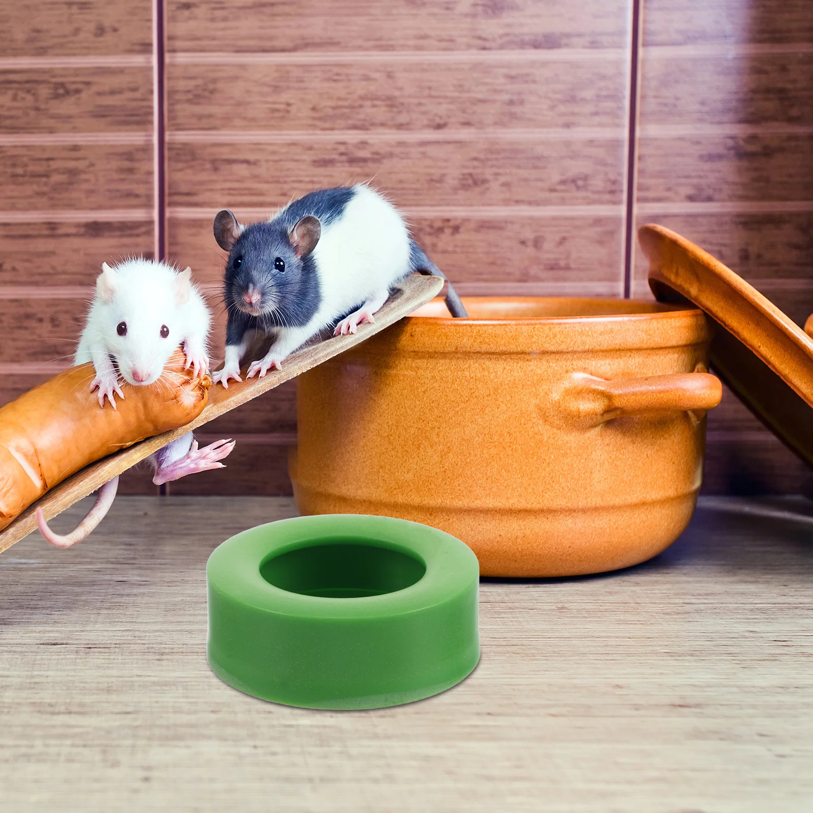 

6pcs Pet Food Bowl For Reptiles 0.9Inch Deep Detachable Base Anti-Spill Feeding Dish Gecko Bearded Dragon Chameleon Feeder Cup