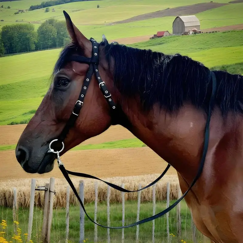 Pestillo de garganta para diadema de escobilla de caballo con 3 hebillas, cabeza de caballo, cuerda de plomo, imprescindible para granja de caballos