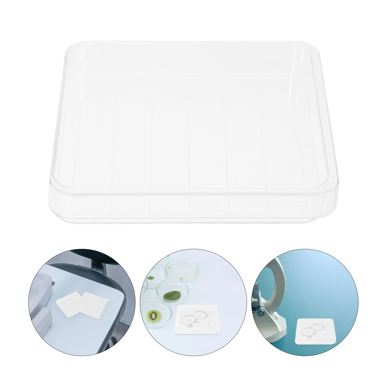 

10 set Square Petri Dishes Disposable Plastic Culture Dish With Lid For Lab Scientific Research Sterilized Container