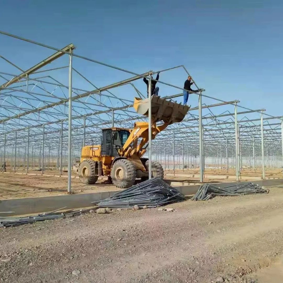 

Customized greenhouseAgricultural Multispan Glass Greenhouse with Hydroponic System