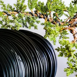 1mm-6mm Bonsai Tools Metal Bonsai Wire Modeling Aluminum Wire Orchard And Garden Tools Plant Shape DIY 500G/Roll