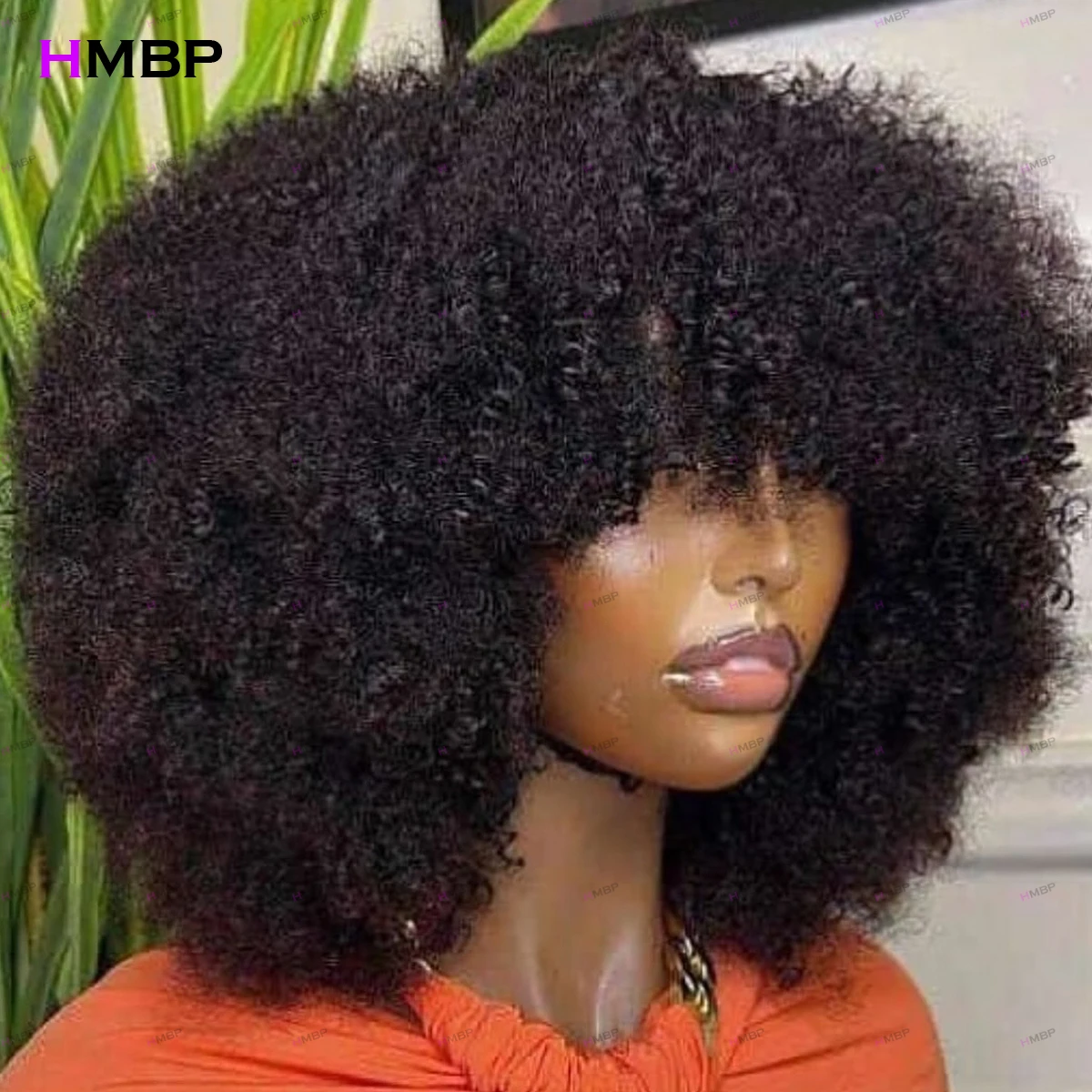 

450 Density Glueless Lace Frontal Wig Ready To Go Human Hair Afro Kinky Curly Wig 360/13×6 HD Lace Frontal Wig For Women HMBP