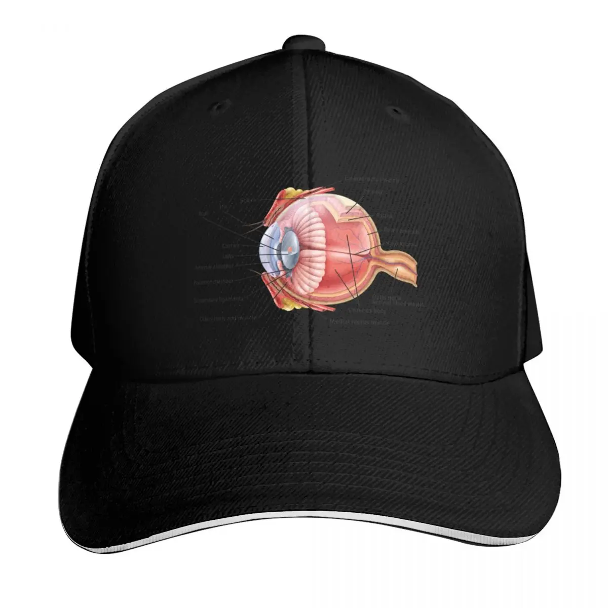 Labeled Eye Anatomy Baseball Cap Six Panel Structured Crown Sun Protection UPF 50+ Breathable Mesh Back