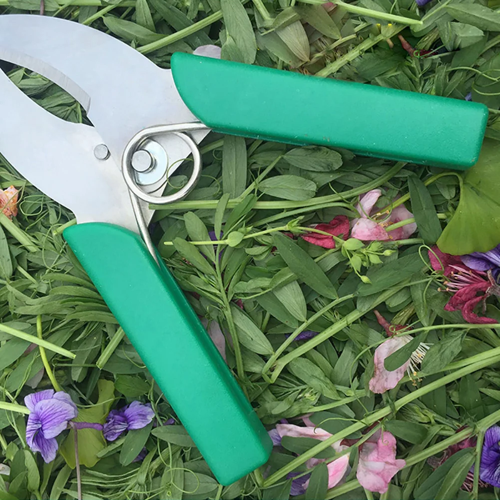 Efficient Ring Barking Shears Professional for Orchard Grafting SK5 Steel Serrated Blade Fruit Tree Pruning Tool Durable