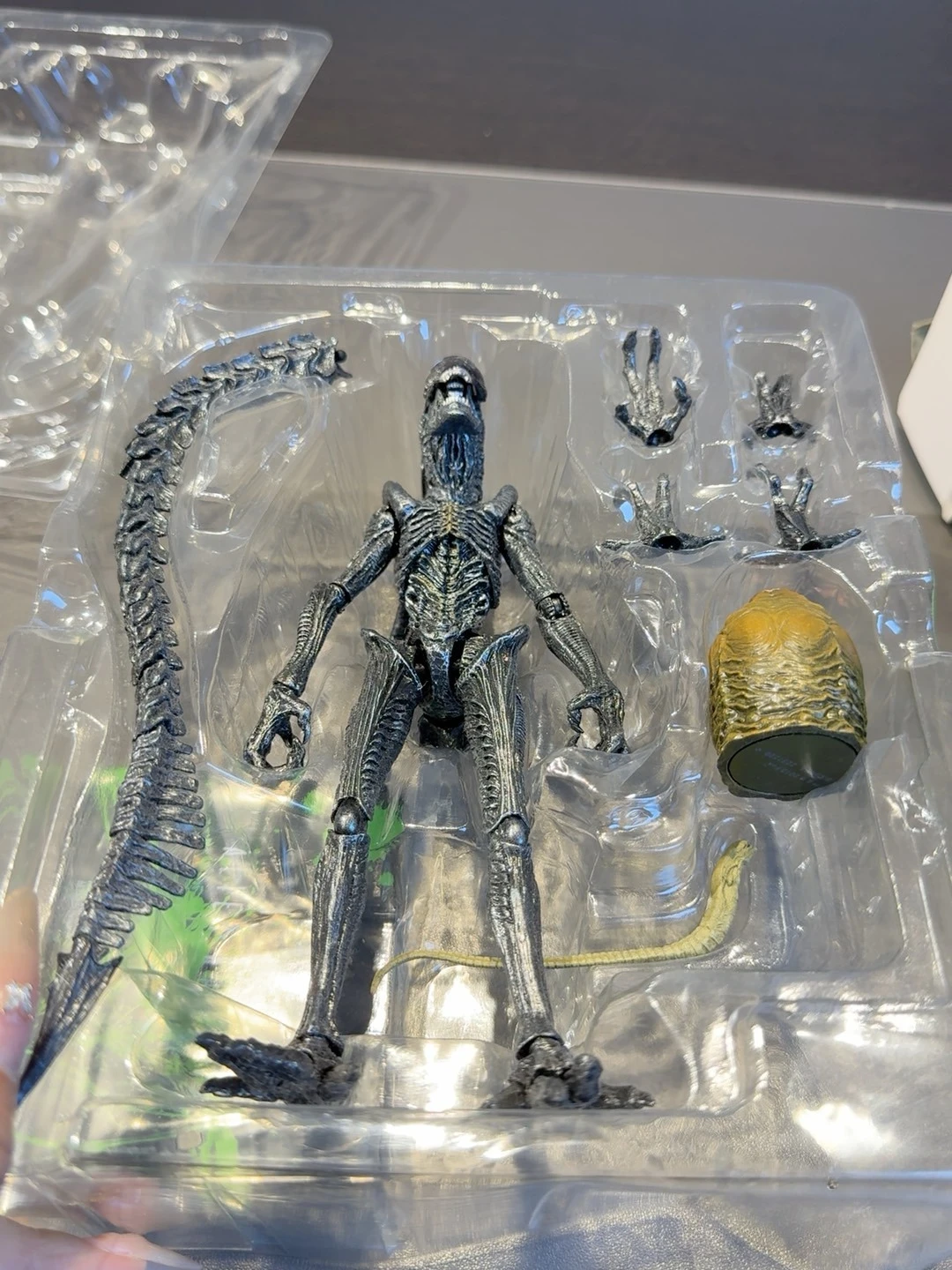 في الأوراق المالية! شخصية بانداي SHM Alien VS Predator 2 ALIEN Warrior.
