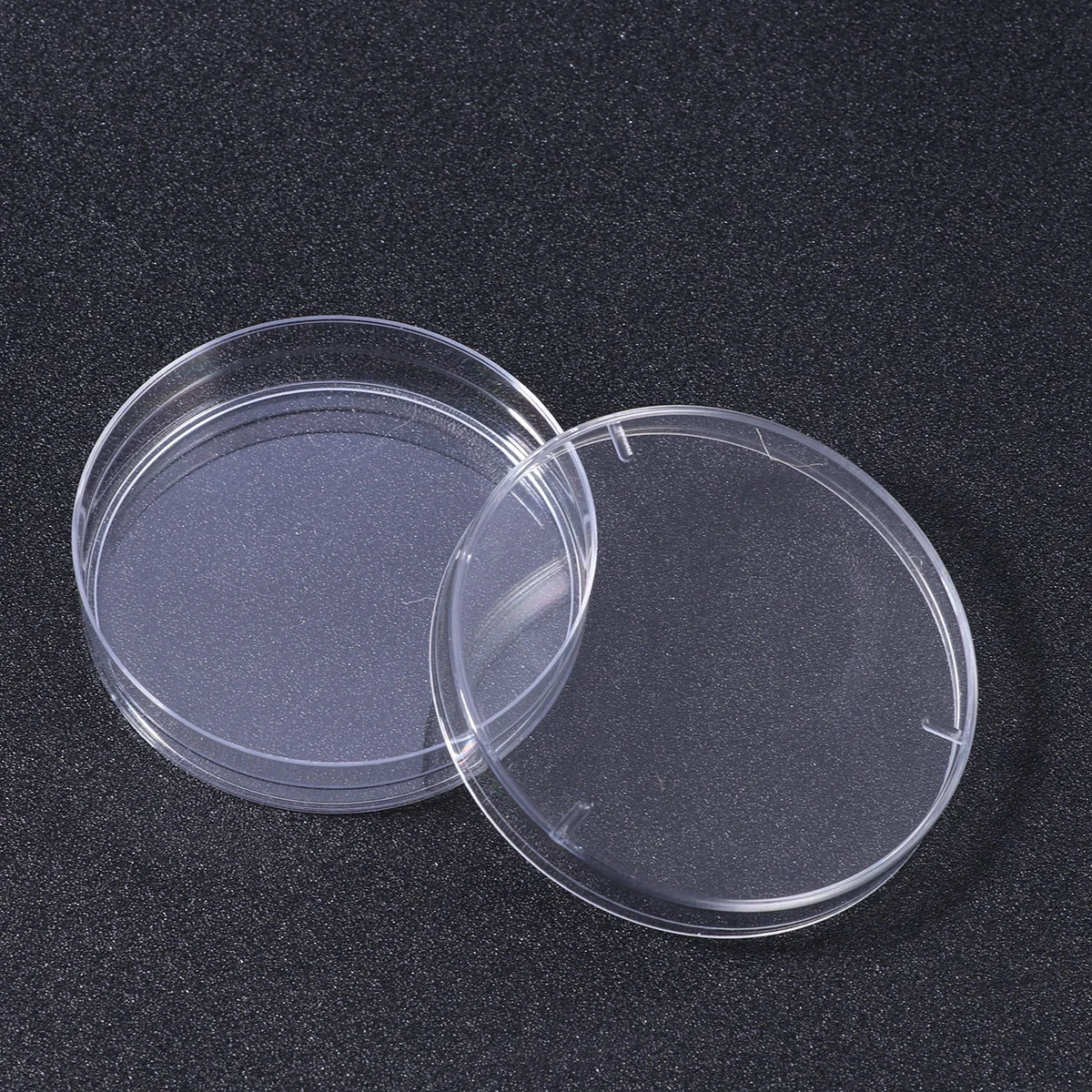 

20 PCS Plastic Petri Dish Serving Bowls Agar Plates Mycology Dishes with Lid Cell