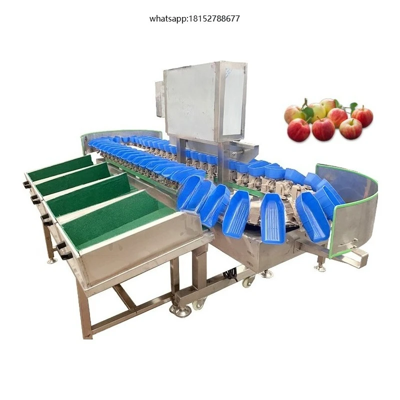 Small Citrus Peach Potato Fruit Weight Size Sorting Orange Tomato Grading Blueberry Lemon Sorter Garlic Grader Machine