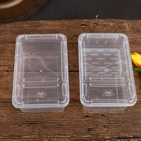 1pc Vivarium Lid Reptile Pet Product Reptile Tank Insect Spiders Tortoise Lizard Transparent Breeding Box