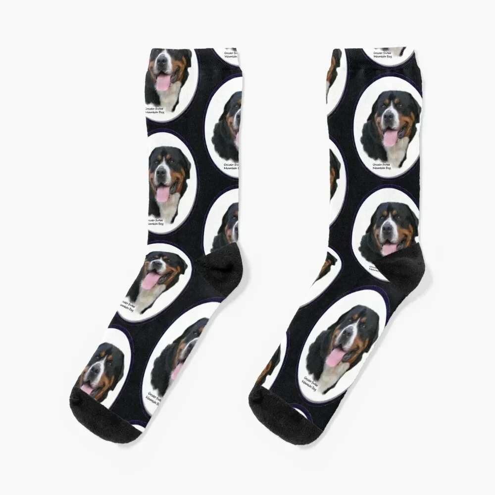 Greater Swiss Mountain Dog Art Gifts Socks luxe Stockings man set Climbing Socks Girl Men's