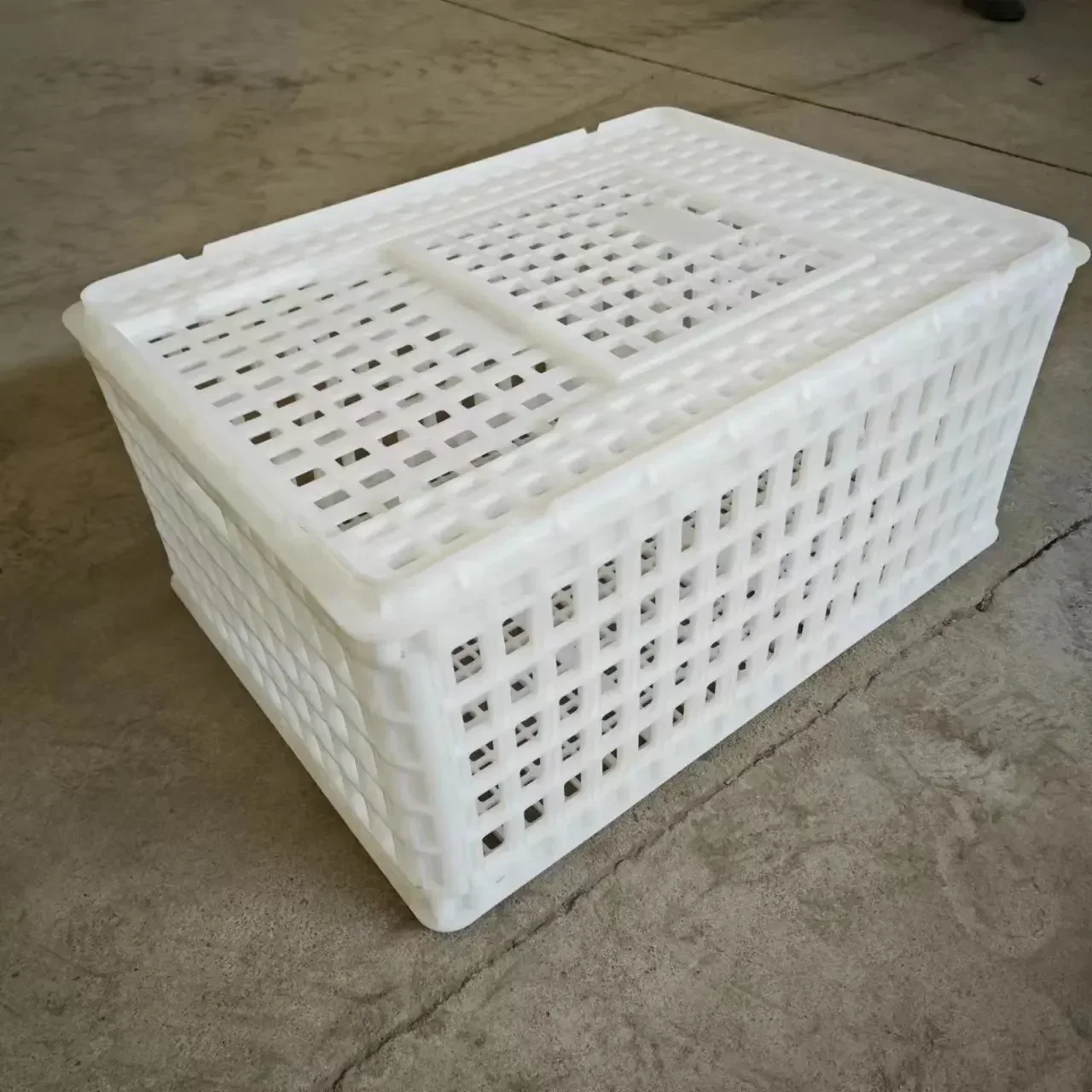 Custom New Live Plastic Chicken Transport Crates Turnover Transport Boxes For Poultry 1-Year Warranty Chickens Cage