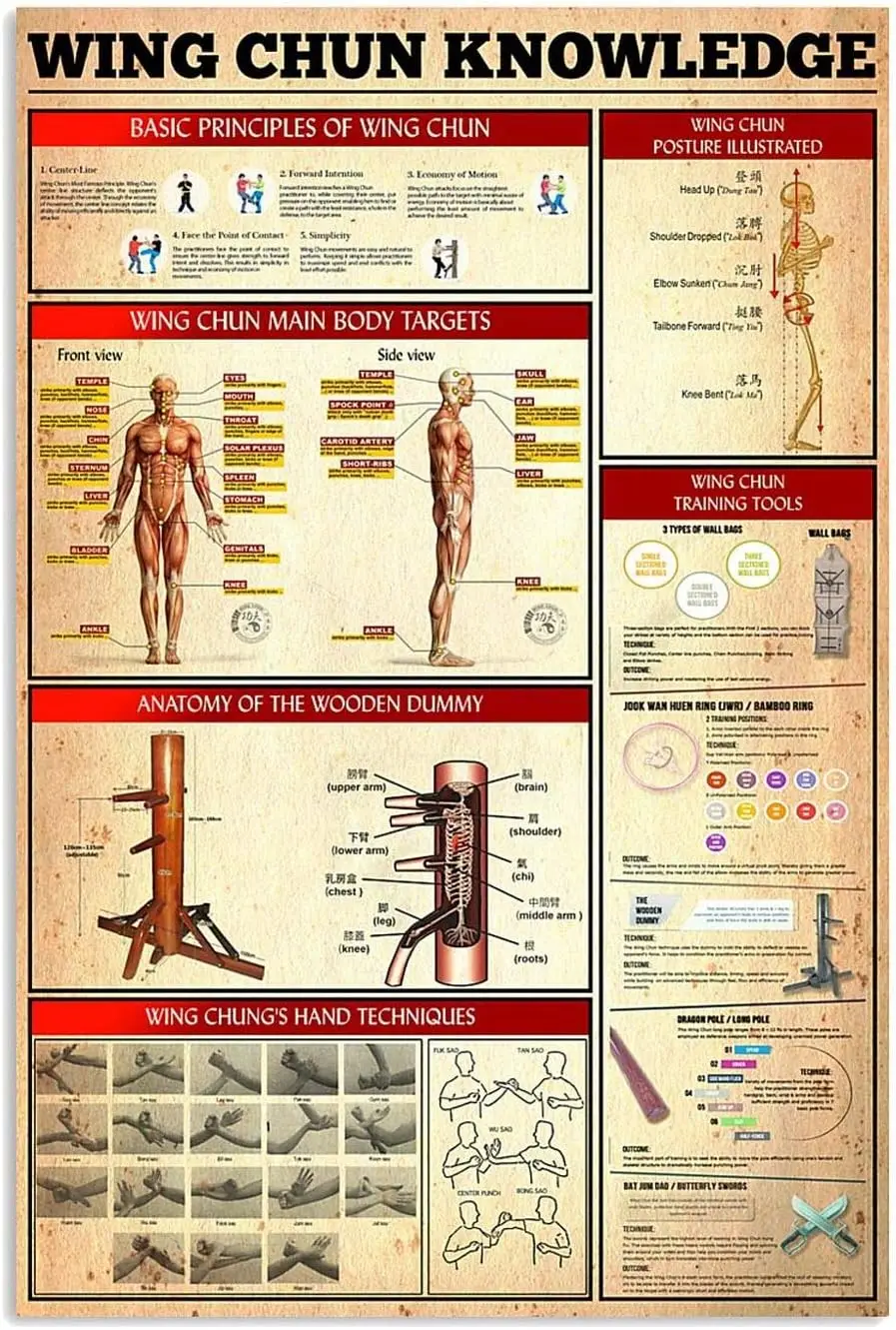 apular  IN Wing Chun Knowledge Metal Signs Basic Principles Of Wing Chun Poster Kung Fu Learning Guide Tin Sign Home Room Club M